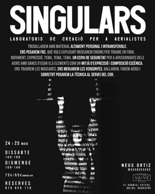 SINGULARS Laboratori de creació per a aerialistes