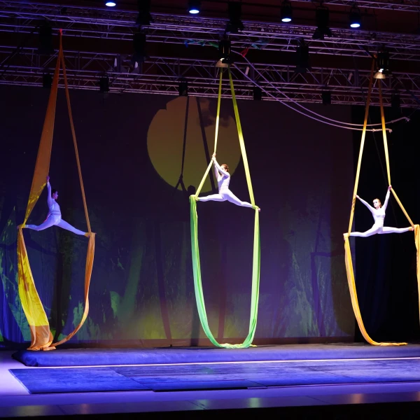 TALLER INICIACIÓ TELES AÈRIES I CÈRCOL