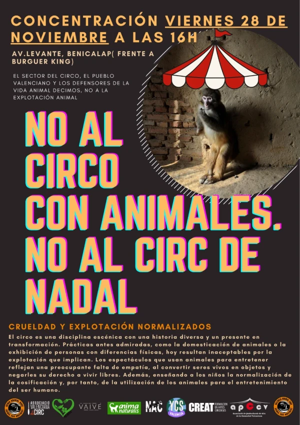 Concentració activa NO AL CIRC AMB ANIMALS