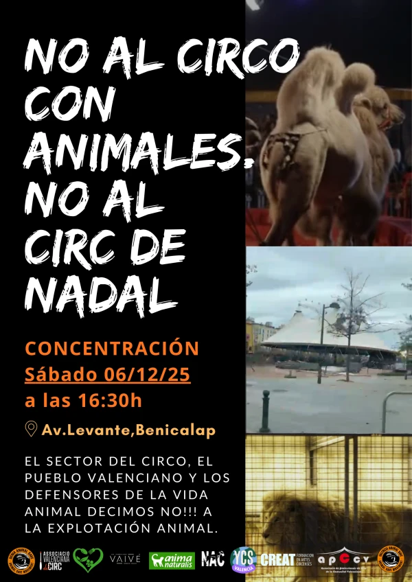 Concentració NO AL CIRC AMB ANIMALS, NO AL CIRC DE NADAL