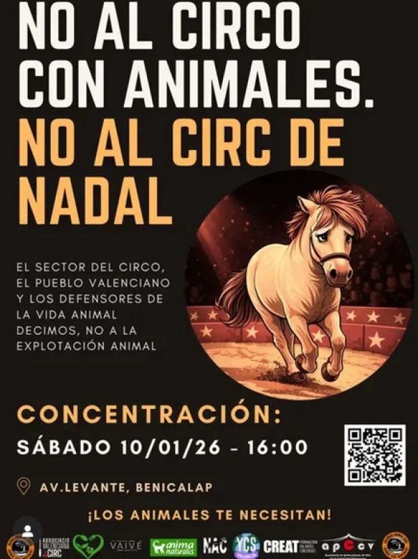 Concentració NO AL CIRC AMB ANIMALS, NO AL CIRC DE NADAL