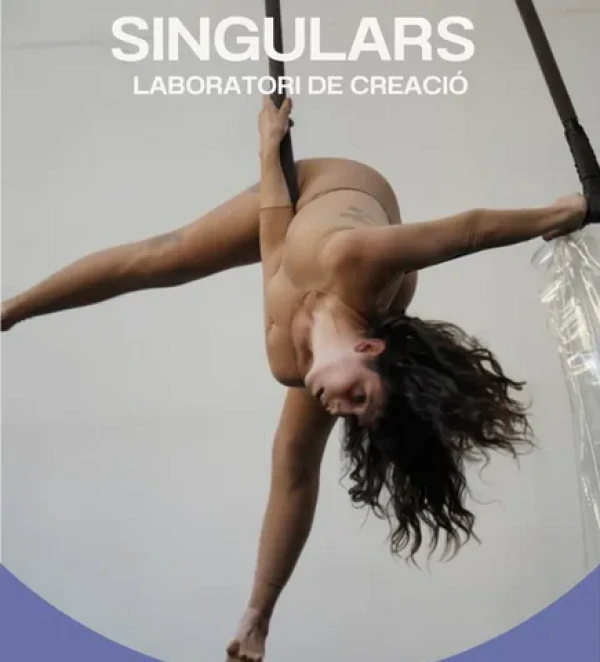 SINGULARS Laboratori de creació per a aerialistes